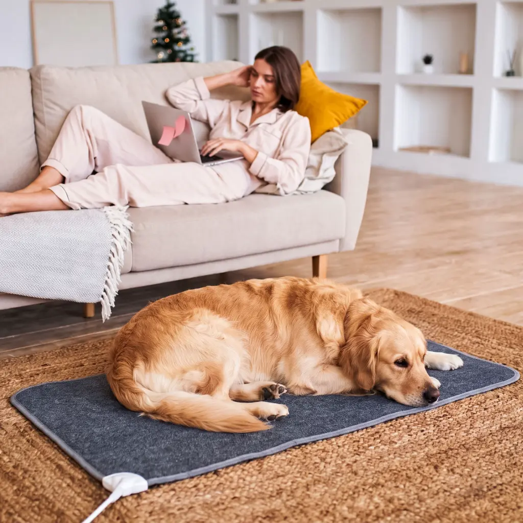 Heating-Pad-e-com-3.webp