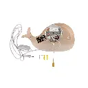 Whale-ecom-3.webp